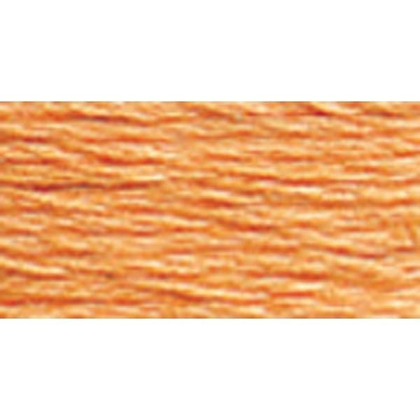 DMC-Mouline-Special-117MC-100-cotone-Si-adatta-a-tutte-le-tecniche-di-ricamo-e-a-tutti-i-supporti-ideale-per-il-B000XZXQPS