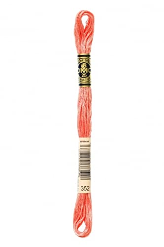 DMC-Stranded-cotone-filo-da-ricamo-352-per-matassa-B06XCGMFMS