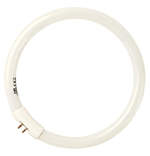 LAMPADA-Neon-Ricambio-per-lampada-per-da-ricamo-con-lente-ingrandimento-610716-per-lampada-610713-B00QMZL114